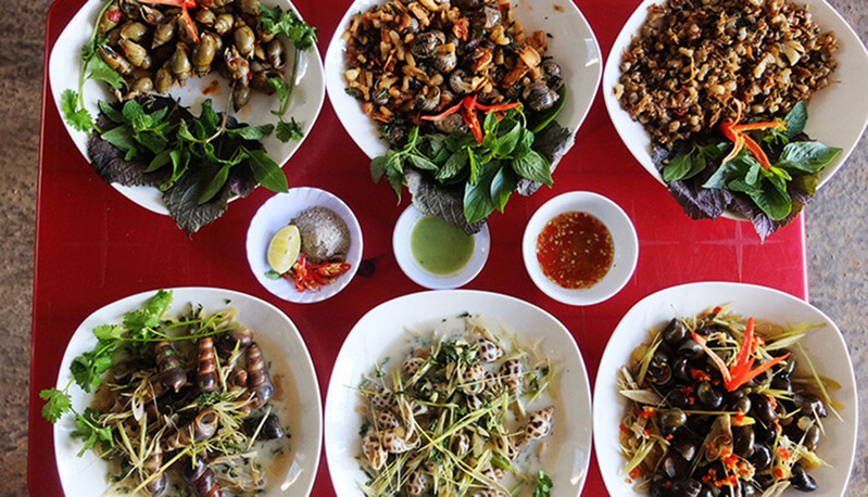 Ốc hút Bé Quỳnh
